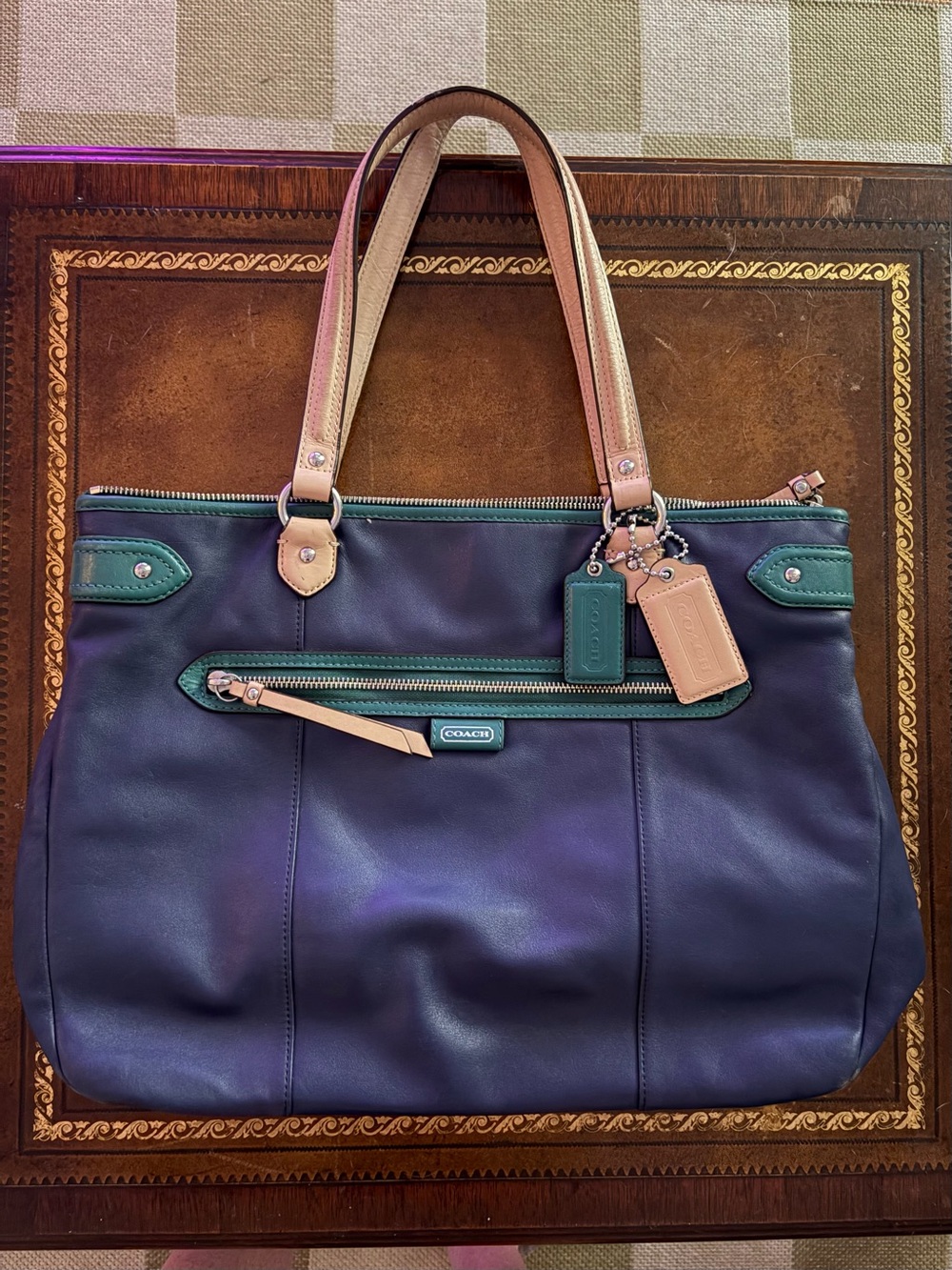 Coach Daisy Spectator Leather Emma Tote (Style Number F23922)